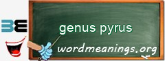 WordMeaning blackboard for genus pyrus